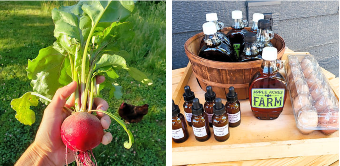 handpicked turnip, maple syrup, eggs, farm stand