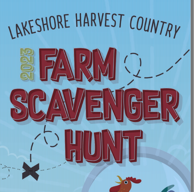 Brochure flyer for Scavenger Hunt