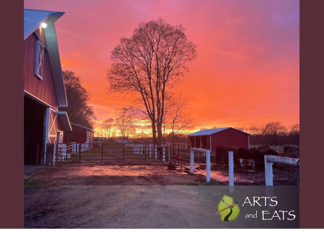 Sunset, tree, barn