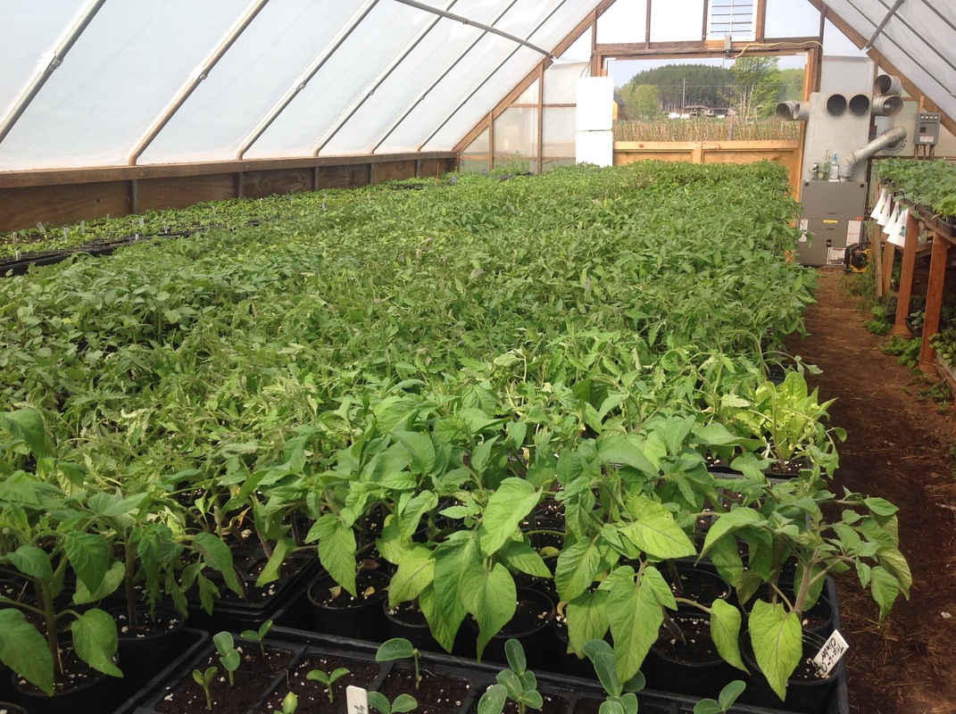 Slagle's Family Farm