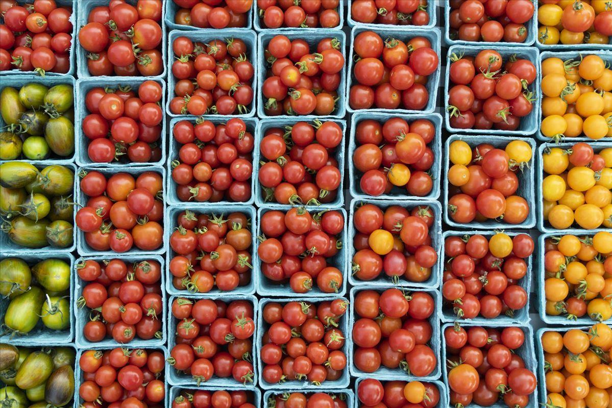Pints of red, green and yellow tomatoes at the St. Joe Farmers Market in St. Joseph, Michigan