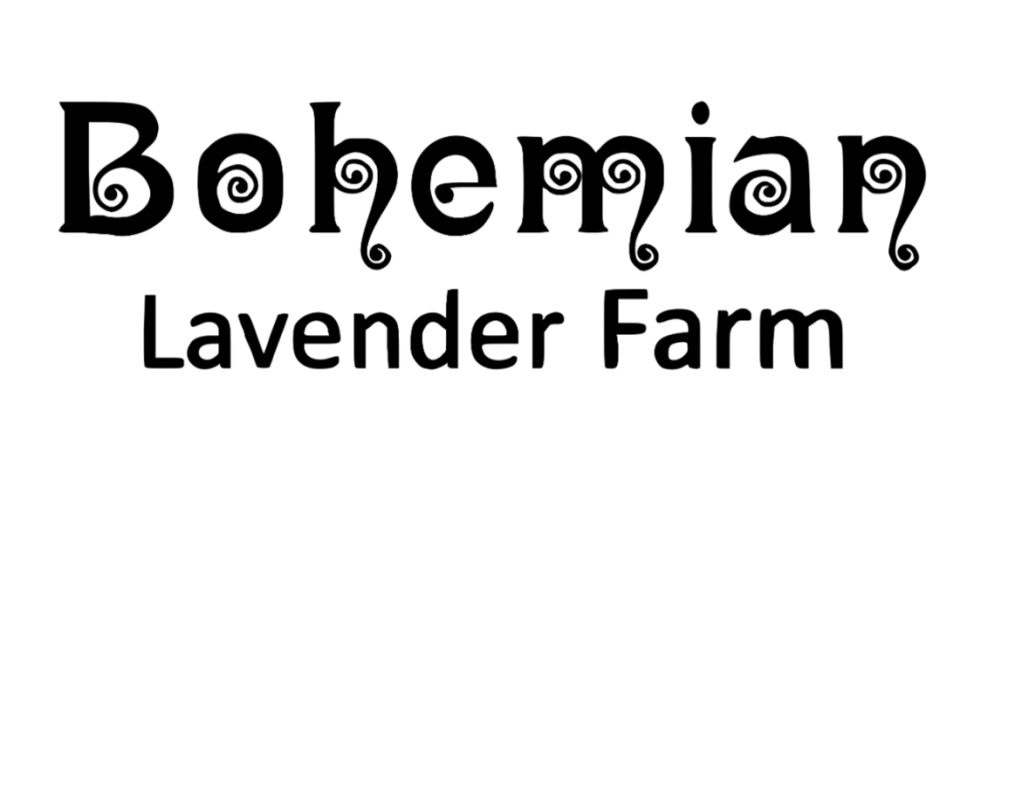 Bohemian Lavender Farm