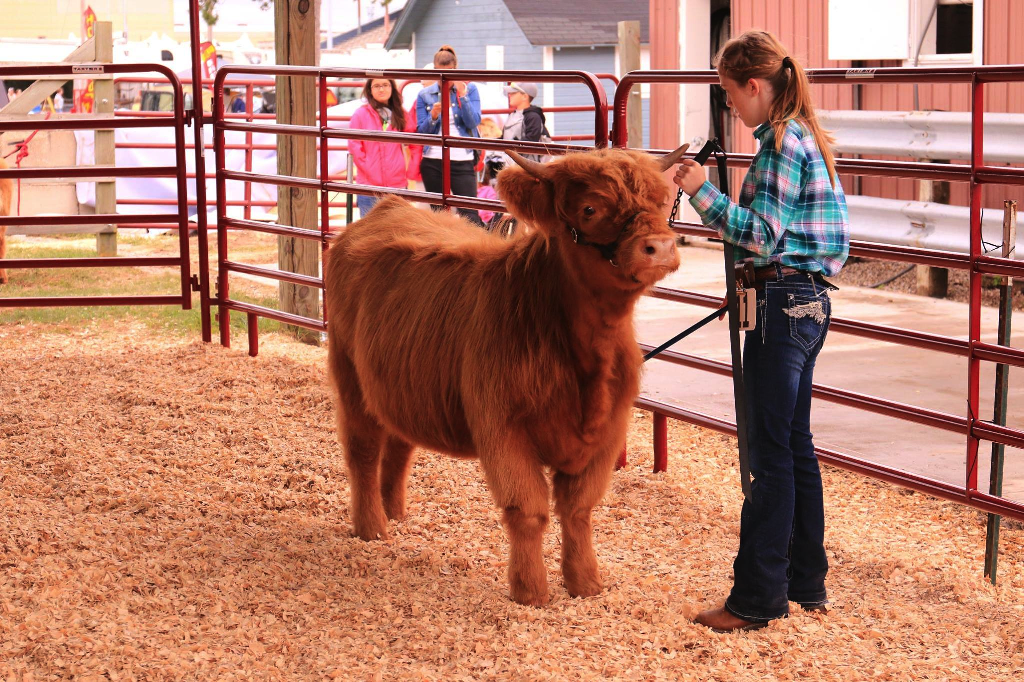 U.P. State Fair