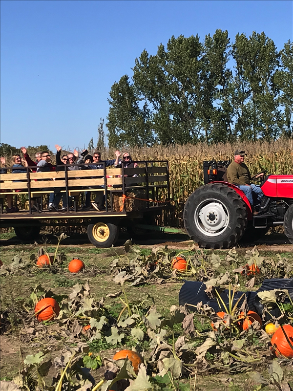 Nugent Orchards Wagon Ride through the Pumpkin Patch