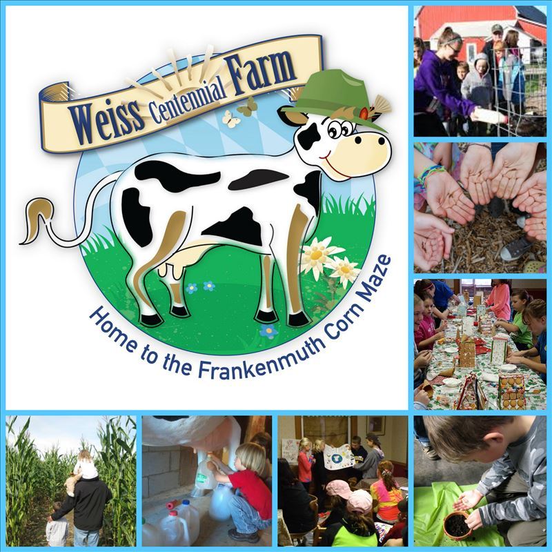 Weiss Centennial Farm kid's activities