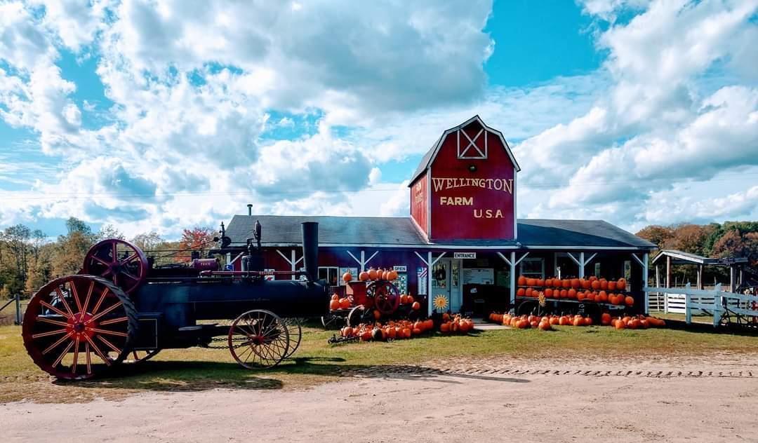 Barn with pumpkins and antique tractor with blue sky and clouds