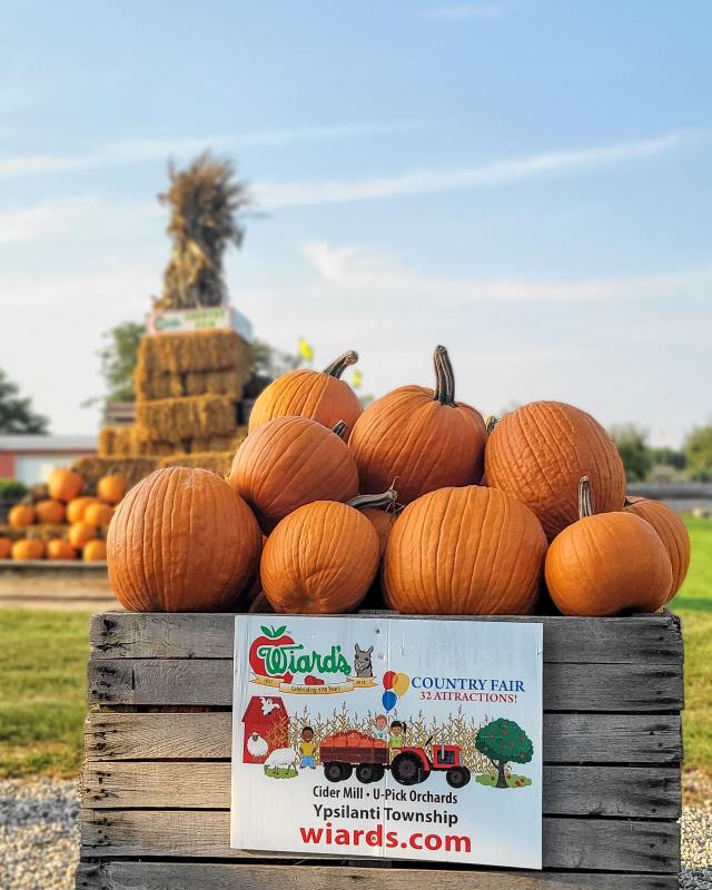Pumpkins, hale bale, blue ski