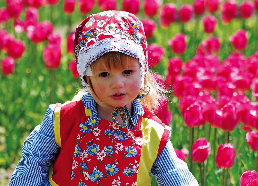Tulip Time in Holland