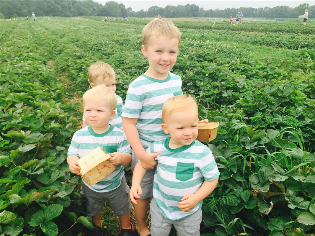 Corey Lake Orchards
