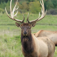 Visit a Ranch