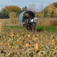 Discover Agricultural Traditions